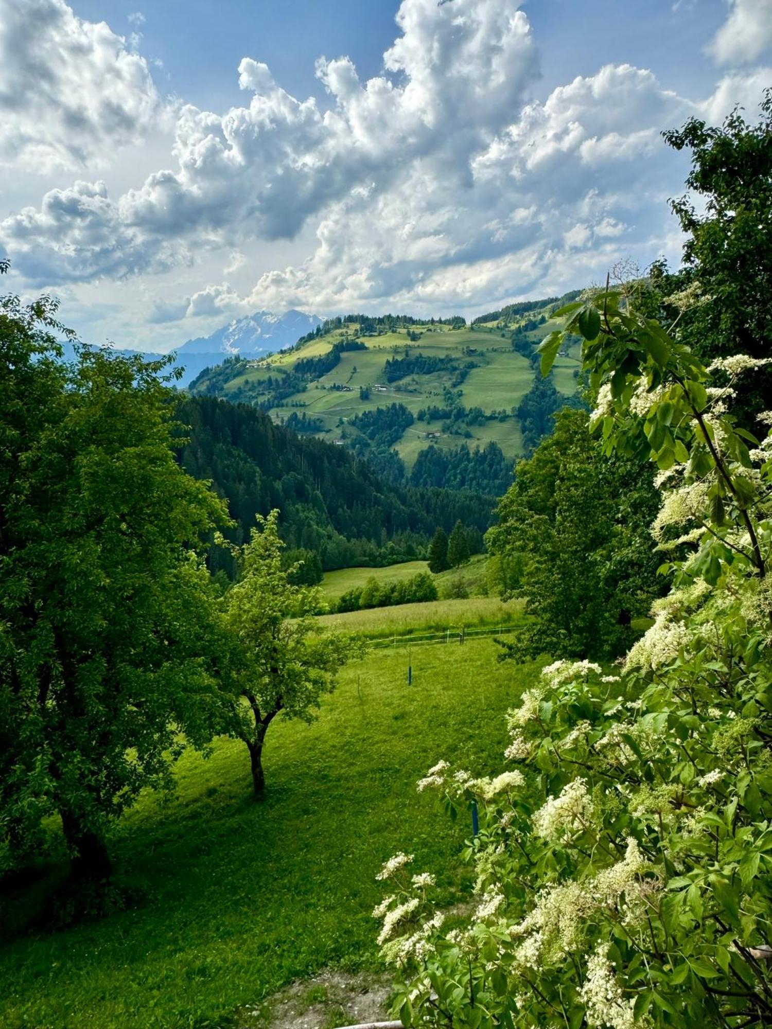Hallmoosgut Sankt Johann im Pongau Exterior foto